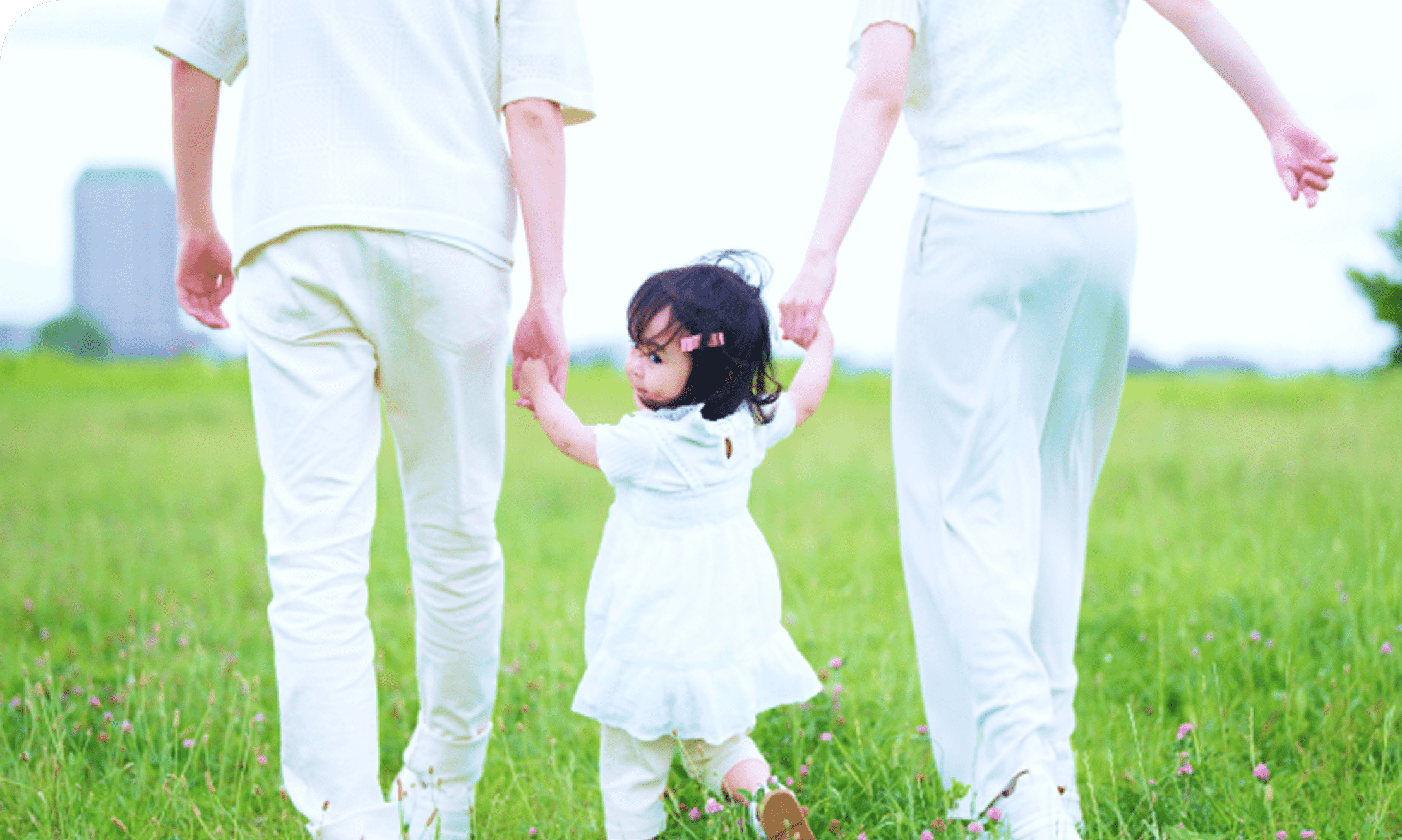 草原で白い洋服を着た両親と小さい女の子が手を繋いで歩き、女の子が振り向こうとしている写真